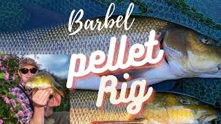 Barbel Rigs  My Easy Pellet Rig [upl. by Nan]