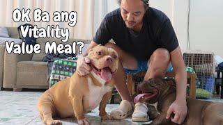 Vitality Value Meal Review  Our Kennel [upl. by Cleasta98]