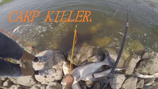 CARP KILLERS OF REELFOOT LAKE BOWFISHING ASIANS [upl. by Nepil866]