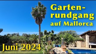 GARTENRUNDGANG auf Mallorca 2024 ☀️🌸 Mein Garten im Juni 🍋😊 [upl. by Brandt]