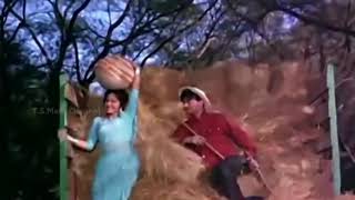 Kaanton Se Kheench Ke Yeh Aanchal  Lata Mangeshkar  Dev Anand Waheeda Rehman  Guide 1965 [upl. by Tierza]