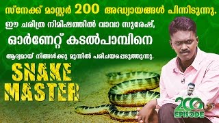 VAVA SURESH SNAKE MASTER EPI 200 SPECIAL  Ornate Sea Snake  Snake Master 03102016  Kaumudy TV [upl. by Atinihc]