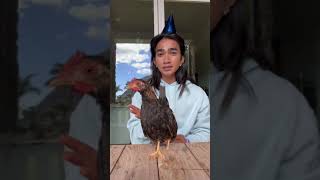 Bretman with the Chickens bretmanrock funny [upl. by Binky335]