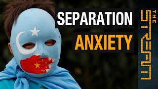 Why is China separating Uighur Muslim families  The Stream [upl. by Barbuto695]