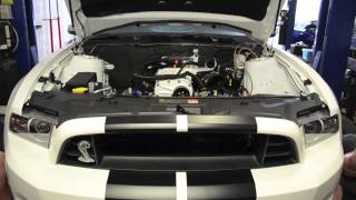 Lethal Performance 2013 GT500 Motor Install amp Dyno [upl. by Abibah]