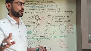 Geneticslecture 24  autopolyploidy and allopolyploidy [upl. by Loux]