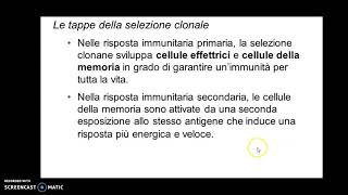 linfociti B e immunità umorale vdv [upl. by Cinamod]