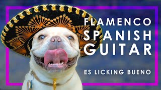 9 HOUR FLAMENCO SPANISH GUITAR  RELAXING ACOUSTIC GUITAR INSTRUMENTAL MUSIC FOR STUDYING [upl. by Adaurd]