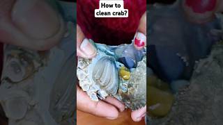 😱How to clean crab😱 ytshorts shorts viral food youtube [upl. by Dewees]