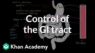 Control of the GI tract  Gastrointestinal system physiology  NCLEXRN  Khan Academy [upl. by Atsejam]