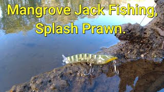 MANGROVE JACK FISHING BEST EVER SURFACE PRAWN [upl. by Teraj815]