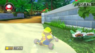 DS Cheep Cheep Beach  148293  JαK Mario Kart 8 World Record [upl. by Drallim]