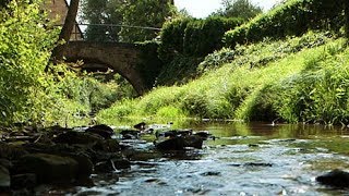 Zeitlos schön  Sommer im Appelbachtal  Fahr mal hin  SWR Fernsehen [upl. by Ellehcsor]