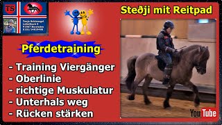 Stedji Reitpad Pferdetraining Tipps aus Unterricht Isländer Islandpferd Tanja Schienagel [upl. by Suchta]