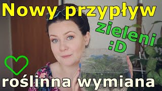 💚 Przypływ hoyi i innych zielonych cudów 💚 roślinna wymianka z Agatą 💚 Nowa paczka 💚 nowe rośliny 💚 [upl. by Kalasky832]