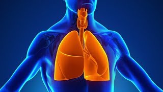 Control of Respiration System Respiratory [upl. by Maddy]