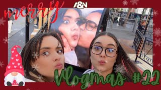 VLOGMAS 23 🎄 2231 ISPROBAVAMO HRANU SA BOZICNE PIJACE part 3 [upl. by Anairo]