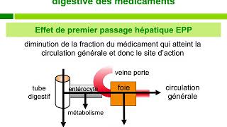 PharmacocinétiqueCours commenté [upl. by Burleigh]