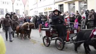 Festumzug Kalter Markt Ellwangen [upl. by Deraj683]