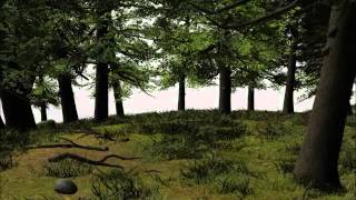 Forest 3D Scene for DAZ Studio and Poser Pro 64 bit [upl. by Aihsenat]