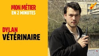 Vétérinaire  Mon métier en 2 minutes [upl. by Aliekahs]