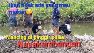 JALANJALAN KE SAMPING PULAU NUSAKAMBANGAN  Bakaran ikan dan kerang [upl. by Jordans]