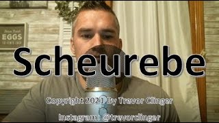 How To Pronounce Scheurebe [upl. by Niryt]