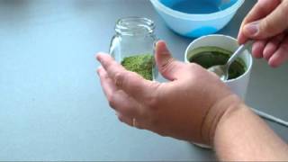 Stevia How To Sweeten Tea With Home Grown Raw Stevia [upl. by Persson]