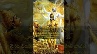 Bhagavad Geetha Shloka  5 Bhagavad Gita [upl. by Cailean]