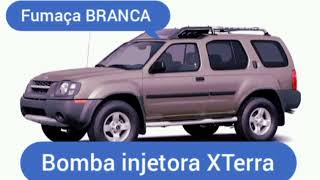 Como FUNCIONA Sistema Bomba injetora XTerra [upl. by Muhcon]