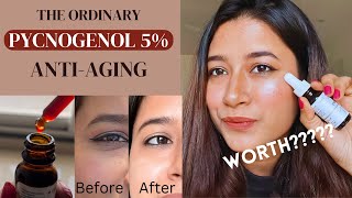 The Ordinary Pycnogenol 5 Powerful Antioxidants for Antiaging  Product Review [upl. by Paehpos]