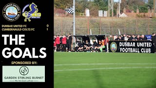 THE GOALS  vs Cumbernauld Colts FC  South Challenge Cup Round 4  190124 [upl. by Lebisor28]