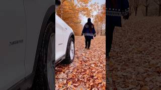 fall colors autumn vermont usa travel vlog nature [upl. by Eiramasil]