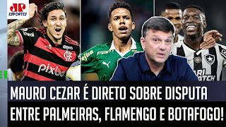 quotEU PENSO DIFERENTE Pra mim Palmeiras e Botafogoquot Mauro Cezar ANALISA DISPUTA com o Flamengo [upl. by Mullen]