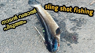 slingshot fishing നാടൻ വരാൽ പിടുത്തം [upl. by Keil]