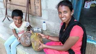 Jackfruit Cutting amp Eating 🥝 Selva Vlogs [upl. by Yelsnia]