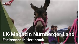 Landkreismagazin Nürnberger Land Kultur in Hersbruck  Eselrennen und Gitarrenfestival [upl. by Aciraj210]