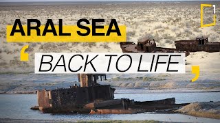 Aral sea  The difficult return of water [upl. by Radke479]