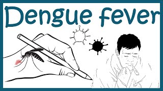 Dengue fever  Dengue virus and pathophysiology [upl. by Leahcimnhoj988]