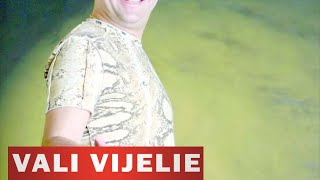 VALI VIJELIE  Pentru bani era sa mor OFICIAL AUDIO TRACK [upl. by Halfdan832]