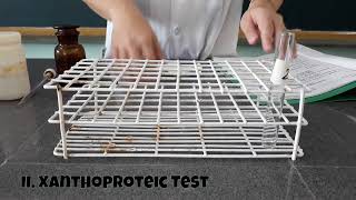 7a  CHEM 104A  Activity 7 Color Reactions of Proteins [upl. by Armilla]