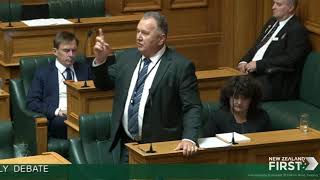 First Full Speech in The House This Term by Shane Jones [upl. by Putnam]