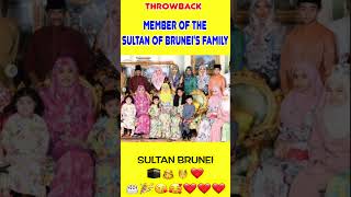 member of the Sultan of Bruneis family [upl. by Coralyn]