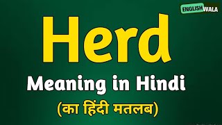 Herd meaning in hindi  Herd matlab kya hota hai  Herd explained [upl. by Perusse]