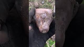 Bisque medium size victorian dolls head found bottle digging Glasgow Scotland for Colin [upl. by Rumery426]