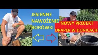 Czym Nawozić Borówki na Jesień l Rusza Nowy Projekt Draper w Donicach [upl. by Atilef]