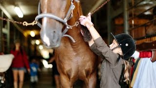 Learn french vocabulary at the equestrian club [upl. by Ku]