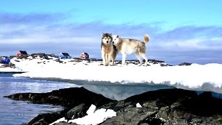 Grönland Expeditionen amp Nordpol Reisen mit dem Segelschiff [upl. by Icart]