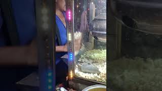 Popcorn Maker Machine 😊😊 shortvideo  Streetfood [upl. by Dubenko512]