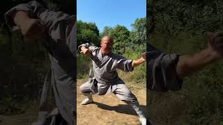 Traditional kung fu martial artsKung FuChinese Kung FuChinese Wushu Wushu training [upl. by Fenella461]